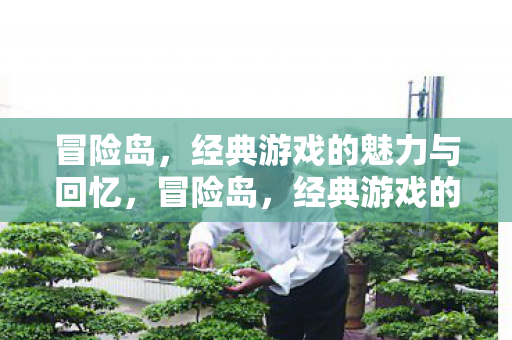 经典游戏的永恒魅力与回忆图片