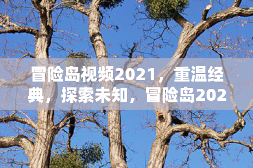 冒险岛视频2021图片