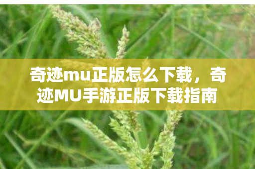 奇迹MU手游正版下载指南图片