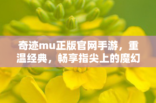 奇迹mu正版官网手游图片