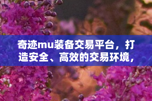 打造安全高效的交易环境图片