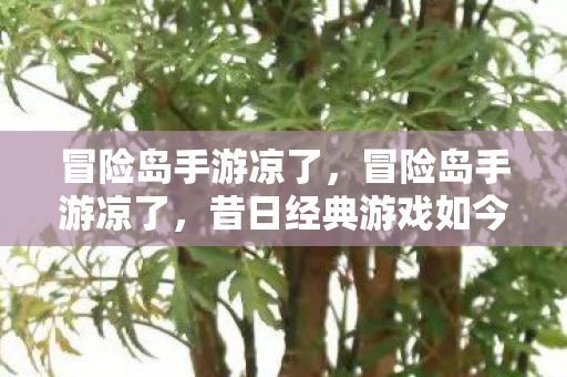 昔日经典游戏如今无人问津图片