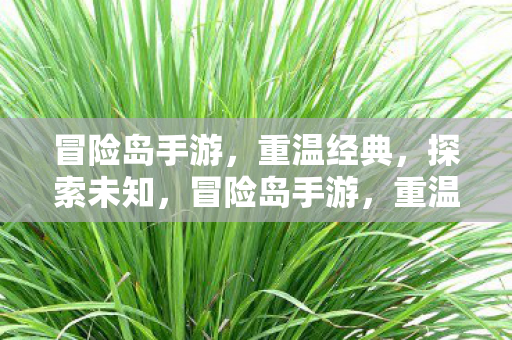 探索未知之旅图片