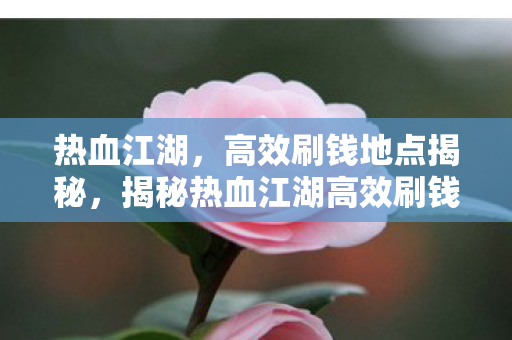 热血江湖,高效刷钱地点揭秘,揭秘热血江湖高效刷钱地点,助你轻松致富! 热血江湖,高效刷钱地点揭秘,揭秘热血江湖高效刷钱地点,助你轻松致富!