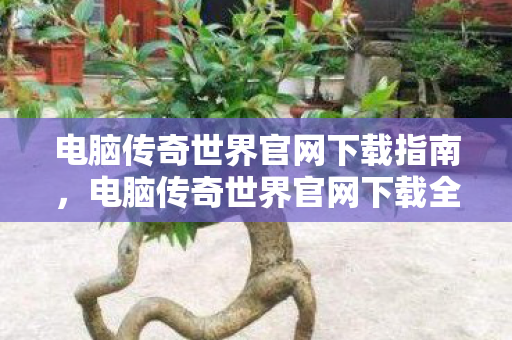 电脑传奇世界官网下载全攻略图片