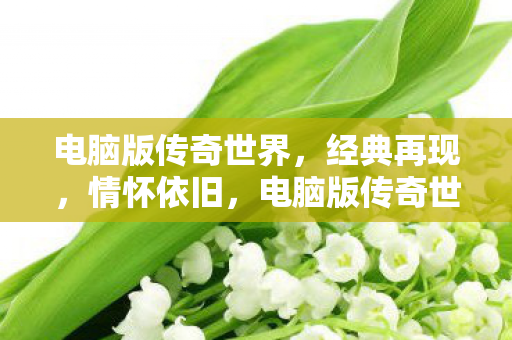 电脑版传奇世界图片