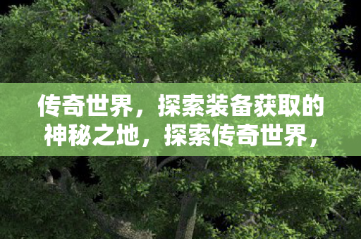 探索装备获取的神秘之地图片