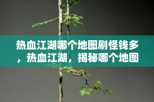 热血江湖哪个地图刷怪钱多，热血江湖，揭秘哪个地图刷怪钱最多