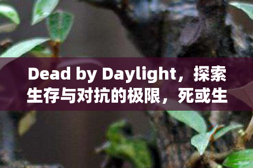 Dead by Daylight，探索生存与对抗的极限，死或生，探索生存与对抗的极限