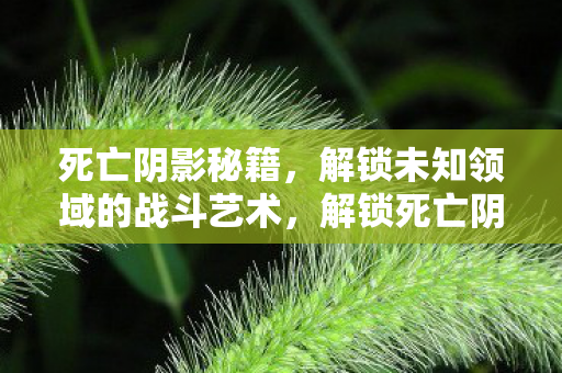 死亡阴影秘籍,解锁未知领域的战斗艺术,解锁死亡阴影秘籍,掌握未知领域的战斗艺术 死亡阴影秘籍,解锁未知领域的战斗艺术,解锁死亡阴影秘籍,掌握未知领域的战斗艺术