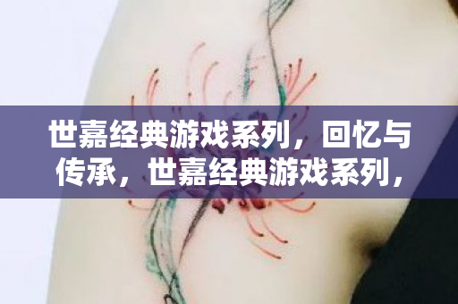 世嘉经典游戏系列,回忆与传承,世嘉经典游戏系列,回忆与传承的传奇 世嘉经典游戏系列,回忆与传承,世嘉经典游戏系列,回忆与传承的传奇
