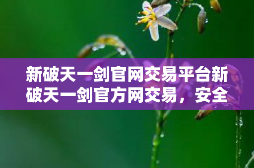 新破天一剑官网交易平台新破天一剑官方网交易图片