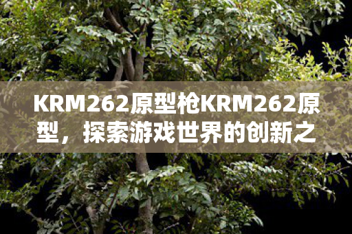 KRM262原型枪KRM262原型，探索游戏世界的创新之路，KRM262原型，探索游戏世界的创新之路