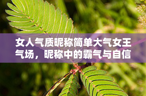女人气质昵称简单大气女王气场,昵称中的霸气与自信,展现女王气场,简单大气的昵称,彰显女性魅力与自信 女人气质昵称简单大气女王气场,昵称中的霸气与自信,展现女王气场,简单大气的昵称,彰显女性魅力与自信