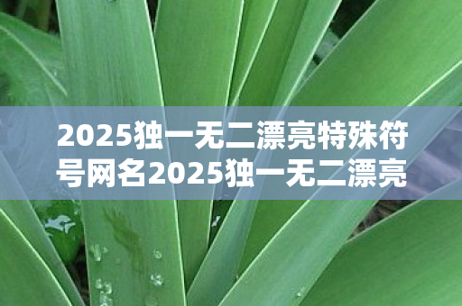 2025独一无二漂亮特殊符号网名2025独一无二漂亮特殊符号,探索游戏世界的无限可能,2025独一无二漂亮特殊符号,探索游戏世界的无限可能 2025独一无二漂亮特殊符号网名2025独一无二漂亮特殊符号,探索游戏世界的无限可能,2025独一无二漂亮特殊符号,探索游戏世界的无限可能