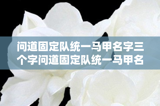 问道固定队统一马甲名字三个字问道固定队统一马甲名字的艺术，打造独特而富有意义的团队标识，问道固定队统一马甲名字的艺术，打造独特而富有意义的团队标识