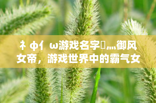礻φ亻ω游戏名字乄灬御风女帝,游戏世界中的霸气女王,灬御风女帝,游戏世界中的霸气女王 礻φ亻ω游戏名字乄灬御风女帝,游戏世界中的霸气女王,灬御风女帝,游戏世界中的霸气女王
