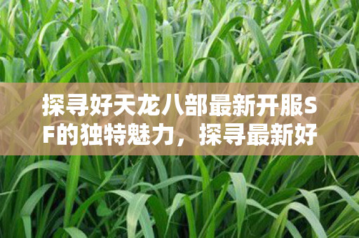 探寻好天龙八部最新开服SF的独特魅力图片