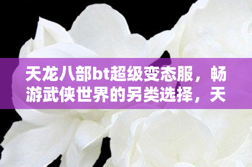 天龙八部bt超级变态服图片