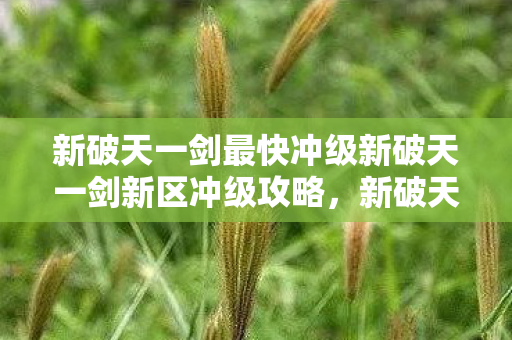 新破天一剑最快冲级新破天一剑新区冲级攻略图片