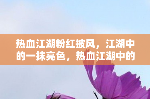 热血江湖粉红披风,江湖中的一抹亮色,热血江湖中的粉红亮色,粉红披风 热血江湖粉红披风,江湖中的一抹亮色,热血江湖中的粉红亮色,粉红披风