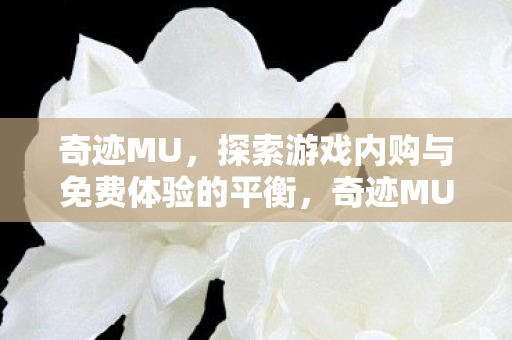 探索游戏内购与免费体验的平衡之道图片