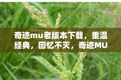 奇迹mu老版本下载图片