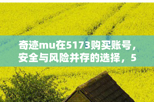 奇迹mu在5173购买账号图片
