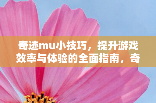 提升游戏效率与体验的全面指南图片