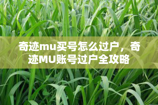 奇迹MU账号过户全攻略图片