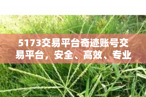 5173交易平台奇迹账号交易平台图片