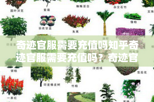 奇迹官服需要充值吗知乎奇迹官服需要充值吗图片