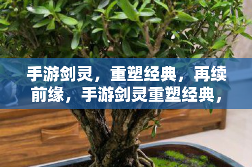 手游剑灵，重塑经典，再续前缘，手游剑灵重塑经典，再续前缘