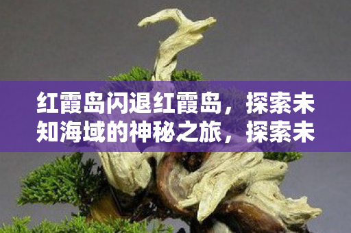 探索未知海域的神秘之旅图片