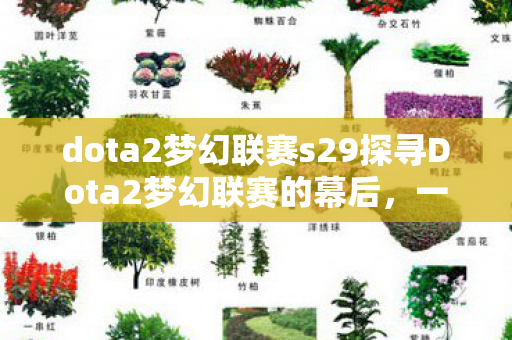 dota2梦幻联赛s29探寻Dota2梦幻联赛的幕后图片