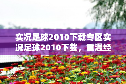 实况足球2010下载专区实况足球2010下载图片