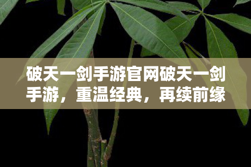 破天一剑手游官网破天一剑手游图片