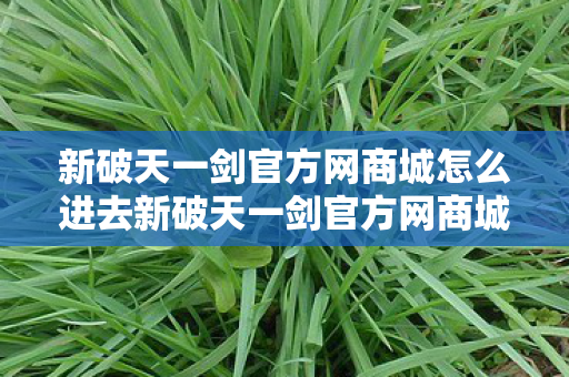 新破天一剑官方网商城怎么进去新破天一剑官方网商城怎么进图片