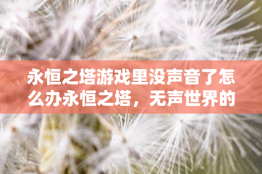 永恒之塔游戏里没声音了怎么办永恒之塔图片