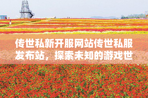 传世私新开服网站传世私服发布站图片