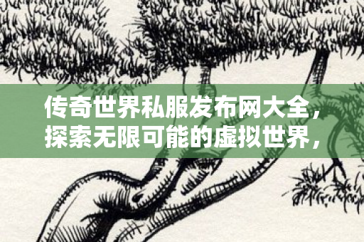 传奇世界私服发布网大全图片