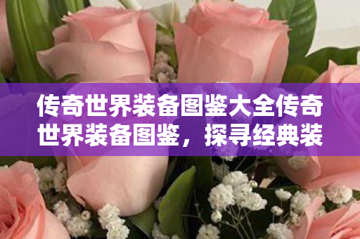 传奇世界装备图鉴大全传奇世界装备图鉴图片