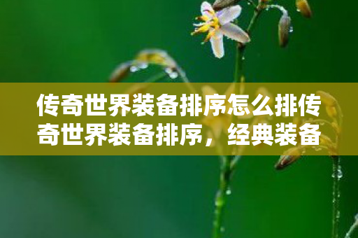 传奇世界装备排序怎么排传奇世界装备排序图片