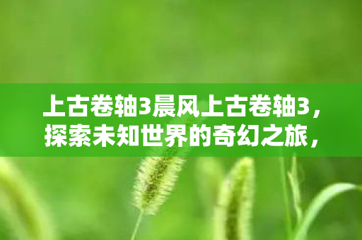 上古卷轴3晨风上古卷轴3图片