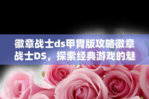 徽章战士ds甲胄版攻略徽章战士DS图片