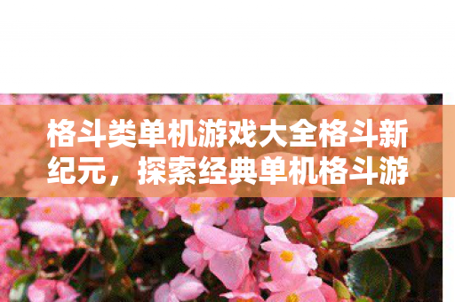 格斗类单机游戏大全格斗新纪元图片
