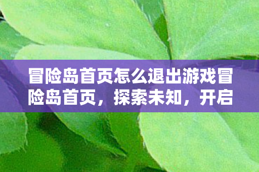 冒险岛首页怎么退出游戏冒险岛首页图片