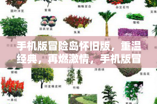 手机版冒险岛怀旧版,重温经典,再燃激情,手机版冒险岛怀旧版,重温经典,再燃激情 手机版冒险岛怀旧版,重温经典,再燃激情,手机版冒险岛怀旧版,重温经典,再燃激情