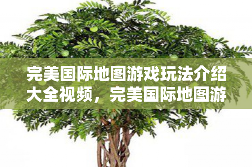 完美国际地图游戏玩法介绍大全视频图片