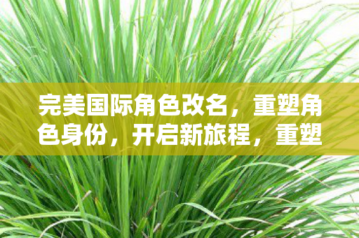 完美国际角色改名功能上线图片
